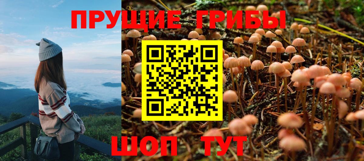 Назрань  Псилоцибиновые грибы Psilocybine cubensis  Псилоцибиновые грибы Cubensis  Вход с VPN 
